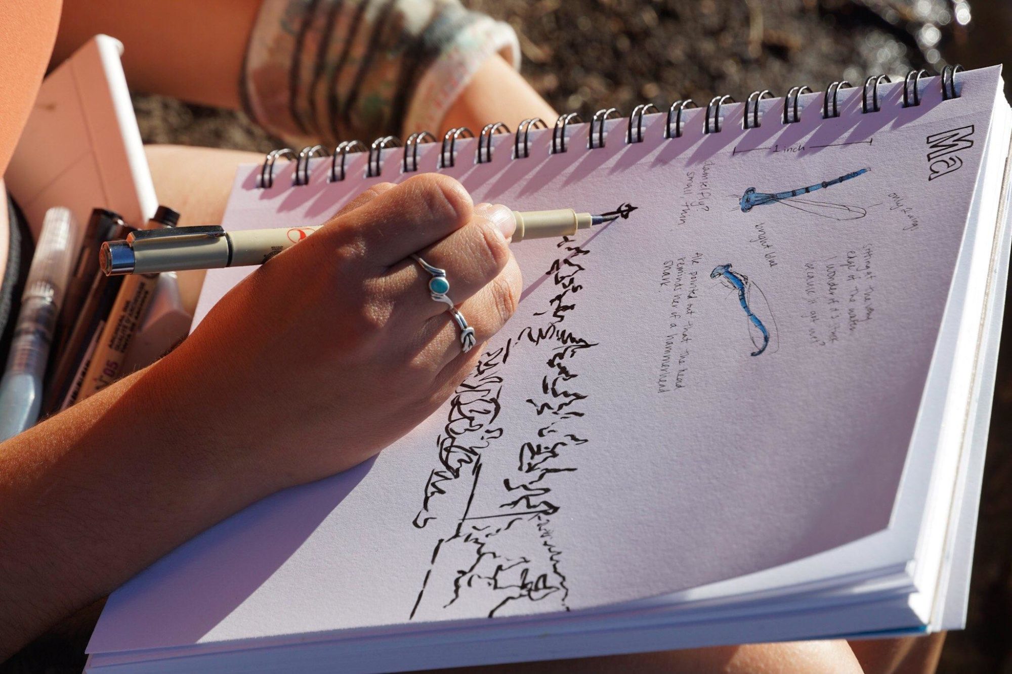 Nature journaling