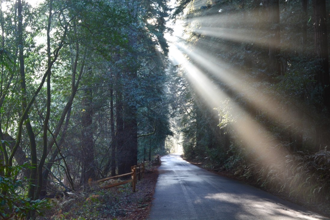 California State Park Week kicks off at Samuel P. Taylor State Park