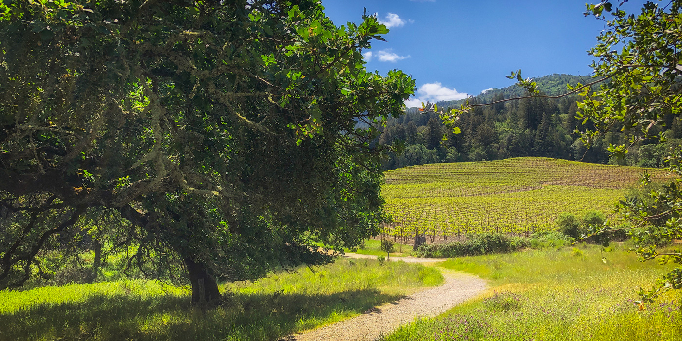 Jack London State Historic Park